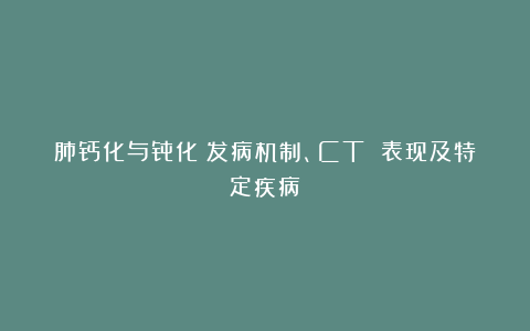 肺钙化与骨化：发病机制、CT 表现及特定疾病