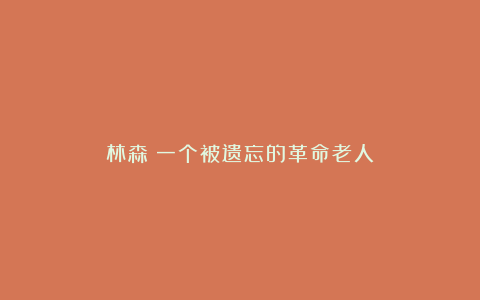 林森：一个被遗忘的革命老人
