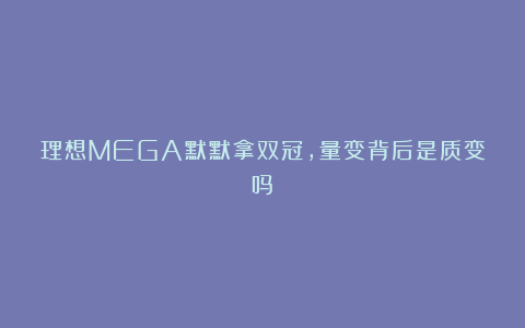 理想MEGA默默拿双冠，量变背后是质变吗？