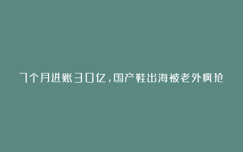 7个月进账30亿，国产鞋出海被老外疯抢