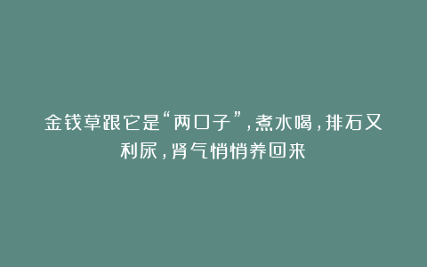 金钱草跟它是“两口子”,煮水喝,排石又利尿,肾气悄悄养回来!