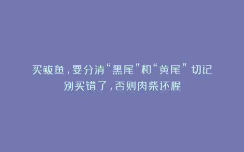 买鲅鱼，要分清“黑尾”和“黄尾”！切记别买错了，否则肉柴还腥