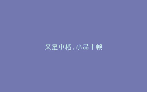 又是小楷，小品十帧