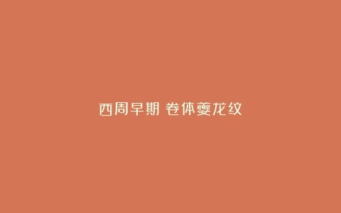 西周早期：卷体夔龙纹罍