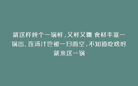 就这样炖个一锅鲜，又鲜又嫩！食材丰富一锅出、连汤汁也被一扫而空，不知道吃啥时就来这一锅