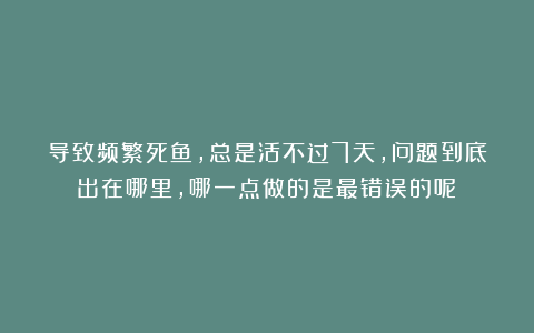 导致频繁死鱼，总是活不过7天，问题到底出在哪里，哪一点做的是最错误的呢？