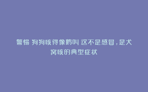 警惕！狗狗咳得像鹅叫？这不是感冒，是犬窝咳的典型症状！