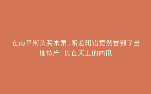 在南平街头买水果，阴差阳错竟然尝到了当地特产，长在天上的西瓜