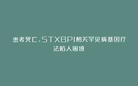 患者死亡，STXBP1相关罕见病基因疗法陷入困境