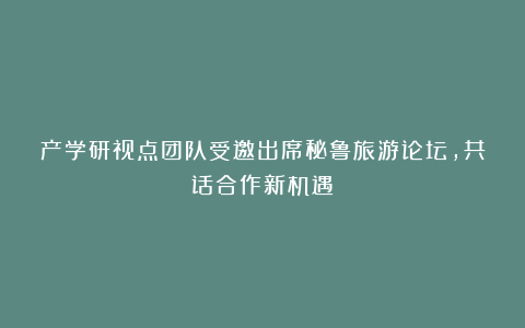 产学研视点团队受邀出席秘鲁旅游论坛，共话合作新机遇