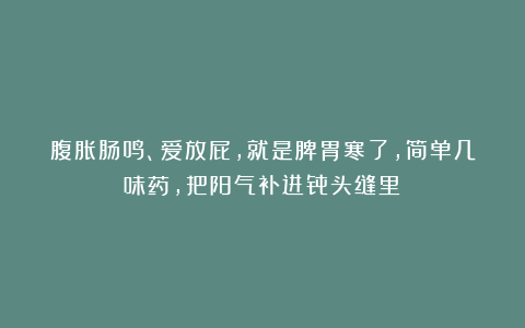 腹胀肠鸣、爱放屁，就是脾胃寒了，简单几味药，把阳气补进骨头缝里！