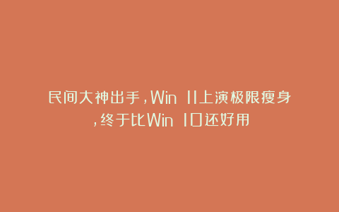 民间大神出手，Win 11上演极限瘦身，终于比Win 10还好用