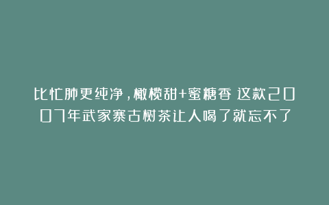 比忙肺更纯净，橄榄甜+蜜糖香！这款2007年武家寨古树茶让人喝了就忘不了