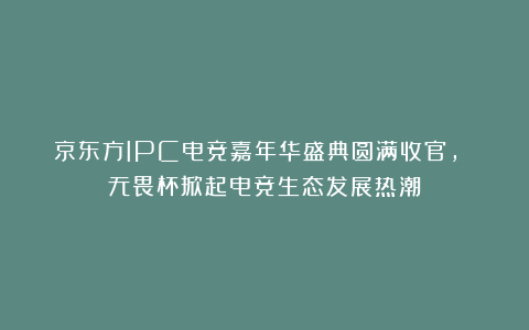 京东方IPC电竞嘉年华盛典圆满收官, 无畏杯掀起电竞生态发展热潮