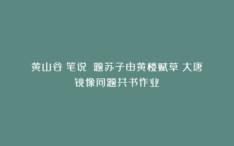 黄山谷《笔说》《题苏子由黄楼赋草》大唐镜像同题共书作业