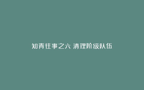 知青往事之六:清理阶级队伍