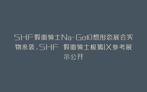 SHF假面骑士Na-Go幻想形态展会实物来袭，SHF 假面骑士极狐IX参考展示公开