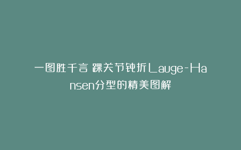 一图胜千言｜踝关节骨折Lauge-Hansen分型的精美图解