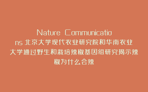 Nature Communications|北京大学现代农业研究院和华南农业大学通过野生和栽培辣椒基因组研究揭示辣椒为什么会辣