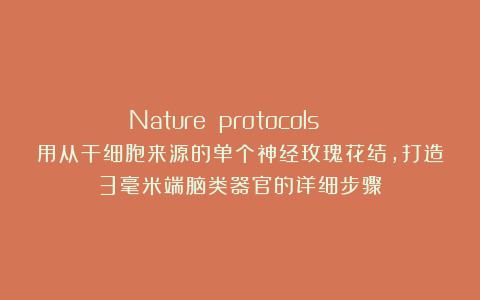 Nature protocols | 用从干细胞来源的单个神经玫瑰花结，打造3毫米端脑类器官的详细步骤