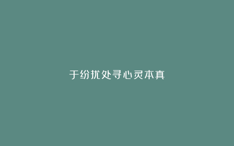 于纷扰处寻心灵本真