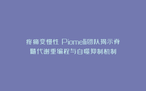疼痛变慢性?Piomelli团队揭示脊髓代谢重编程与自噬抑制机制