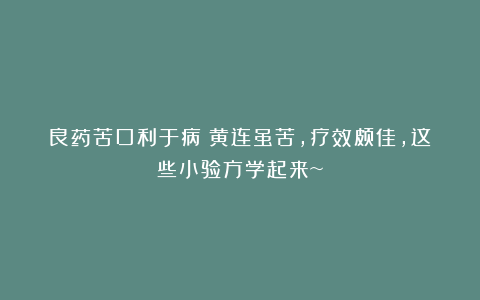 良药苦口利于病！黄连虽苦，疗效颇佳，这些小验方学起来~