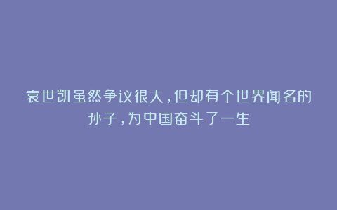 袁世凯虽然争议很大，但却有个世界闻名的孙子，为中国奋斗了一生