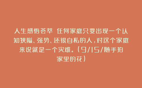 人生感悟荟萃：《任何家庭只要出现一个认知狭隘、强势、还很自私的人，对这个家庭来说就是一个灾难。》(9/15/随手拍家里的花)