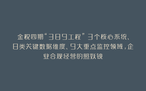 金税四期“389工程”：3个核心系统、8类关键数据维度、9大重点监控领域，企业合规经营的照妖镜