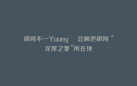 胡同不一Young | 豆腐池胡同：“龙尾之要”所在地