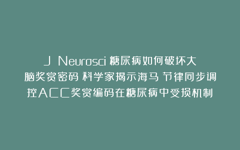 J Neurosci：糖尿病如何破坏大脑奖赏密码？科学家揭示海马θ节律同步调控ACC奖赏编码在糖尿病中受损机制​