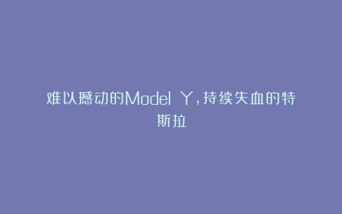 难以撼动的Model Y，持续失血的特斯拉