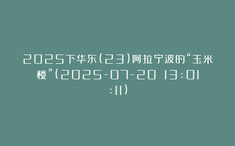 2025下华东(23)阿拉宁波的“玉米楼”(2025-07-20 13:01:11)