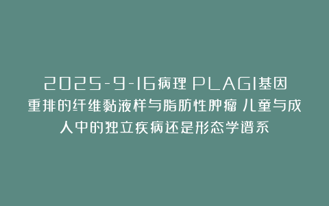 2025-9-16病理：PLAG1基因重排的纤维黏液样与脂肪性肿瘤：儿童与成人中的独立疾病还是形态学谱系？