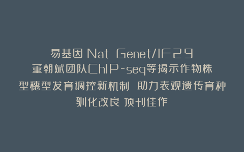 易基因：Nat Genet/IF29：董朝斌团队ChIP-seq等揭示作物株型穗型发育调控新机制 助力表观遗传育种驯化改良（顶刊佳作）