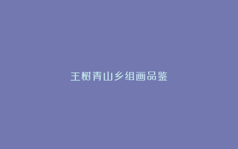 王树青山乡组画品鉴