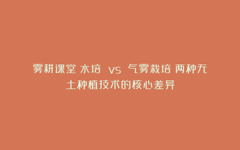 雾耕课堂|水培 vs 气雾栽培：两种无土种植技术的核心差异
