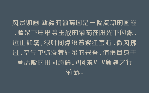 风景如画：新疆的葡萄园是一幅流动的画卷，藤架下串串碧玉般的葡萄在阳光下闪烁，远山如黛，绿叶间点缀着紫红宝石，微风拂过，空气中弥漫着甜蜜的果香，仿佛置身于童话般的田园诗篇。#风景# #新疆之行葡萄…