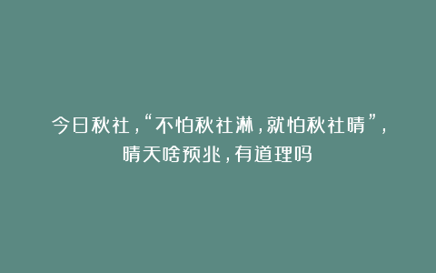 今日秋社，“不怕秋社淋，就怕秋社晴”，晴天啥预兆，有道理吗？