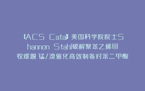 【ACS Catal】美国科学院院士Shannon Stahl破解聚苯乙烯回收难题：锰/溴催化高效制备对苯二甲酸