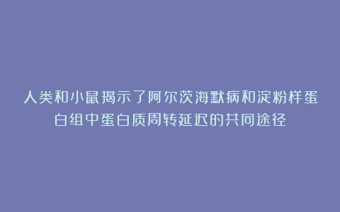 人类和小鼠揭示了阿尔茨海默病和淀粉样蛋白组中蛋白质周转延迟的共同途径