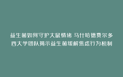 益生菌如何守护大鼠情绪？马什哈德费尔多西大学团队揭示益生菌缓解焦虑行为机制