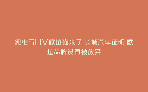纯电SUV欧拉猫来了！长城汽车证明：欧拉品牌没有被放弃！