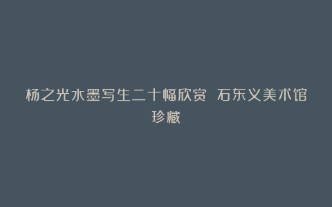 杨之光水墨写生二十幅欣赏 石东义美术馆珍藏