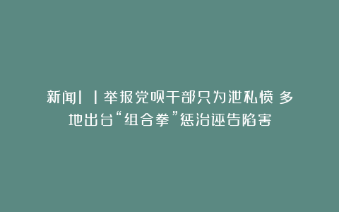 新闻1 1丨举报党员干部只为泄私愤？多地出台“组合拳”惩治诬告陷害
