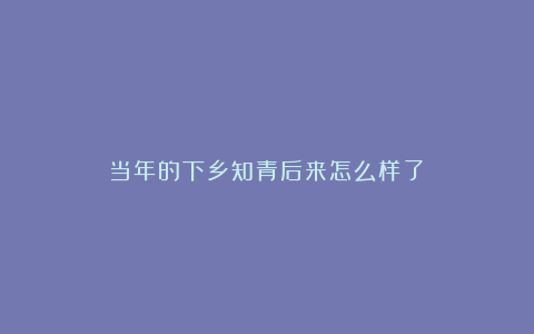 当年的下乡知青后来怎么样了？