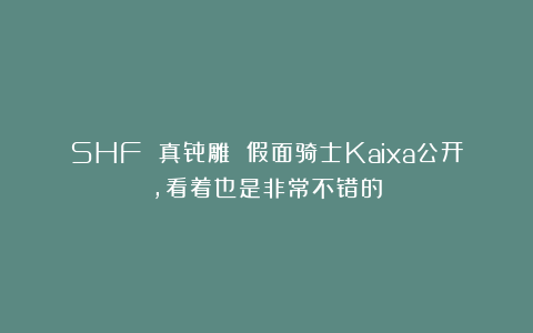 SHF 真骨雕 假面骑士Kaixa公开，看着也是非常不错的