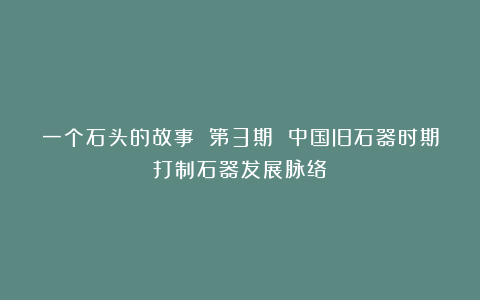 一个石头的故事 第3期 中国旧石器时期打制石器发展脉络