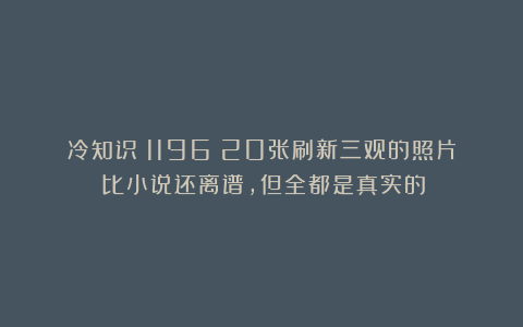 冷知识（1196）20张刷新三观的照片：比小说还离谱，但全都是真实的！